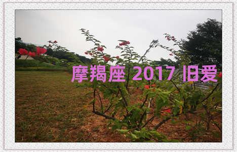 摩羯座 2017 旧爱